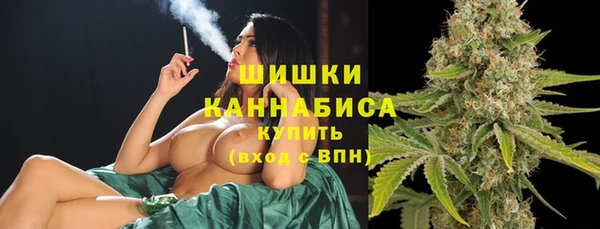 прущие грибы Баксан