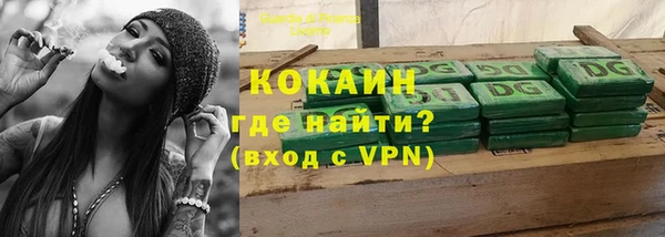 прущие грибы Баксан