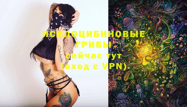 хмурый Балахна