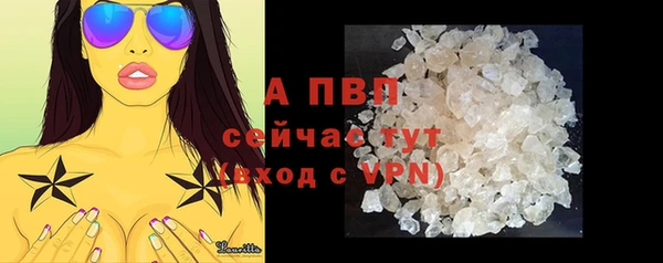прущие грибы Баксан