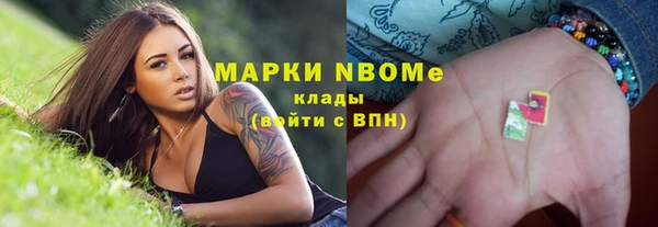 прущие грибы Баксан