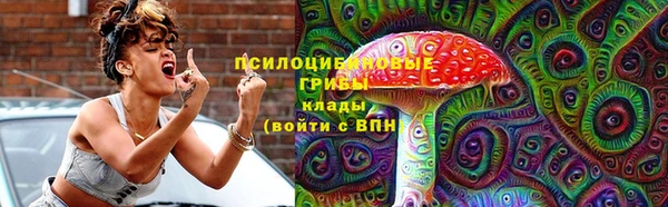 прущие грибы Баксан