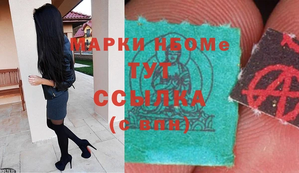 прущие грибы Баксан