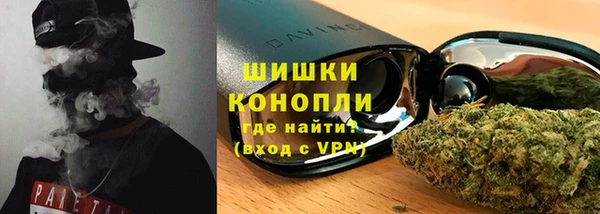 прущие грибы Баксан