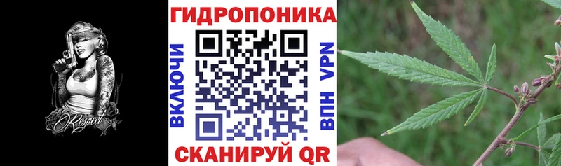 что такое Макаров KRAKEN вход Бошки Шишки THC 21%